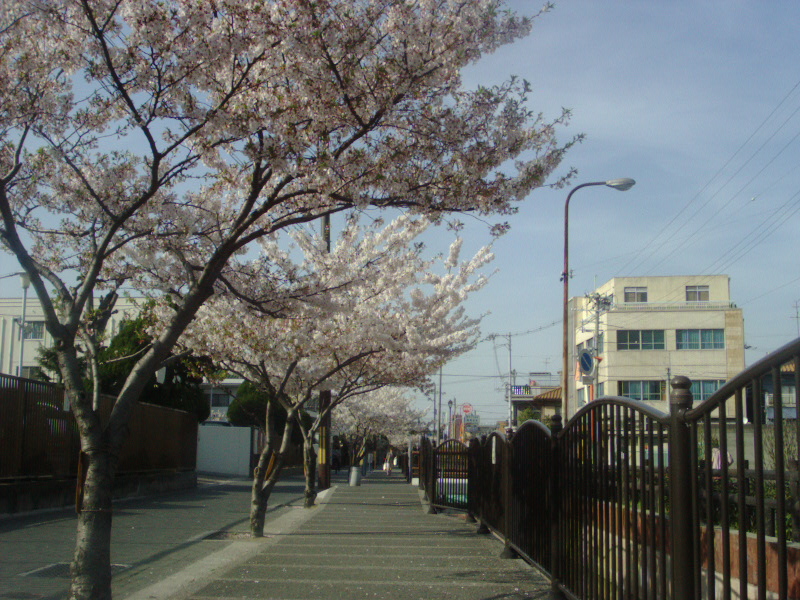 To the prolonging life place storehouse from the Nagase station