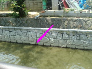 It is new and the sewage is leaking out from the cut wall.