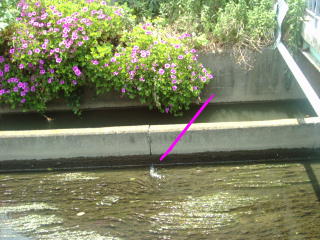 It finishes being and the sewage is leaking out from the wall.