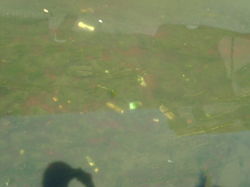 The bloodworm occurs.It throws away a can with juice.