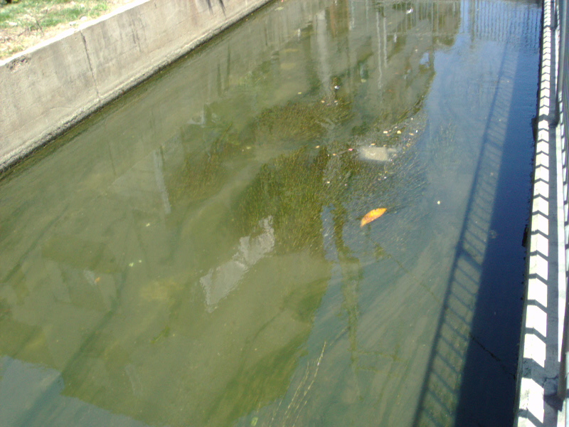 In the water plant, the time crude garbage collects.